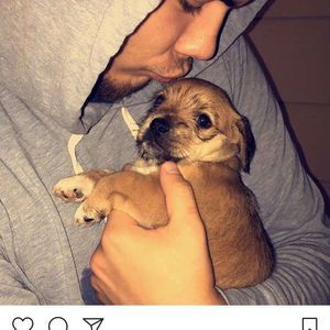 Meet your Posher, Robby